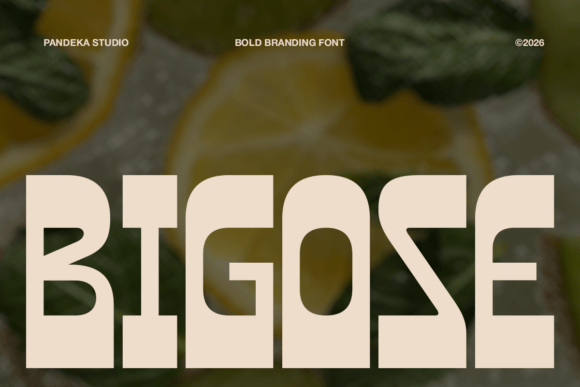 Bigose: A Bold, Friendly Display Font for Small Business Brands